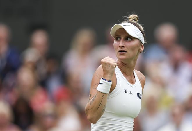 例如引入布 例如引入布