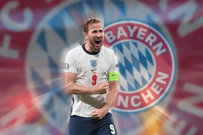 初次观赛者 初次观赛者