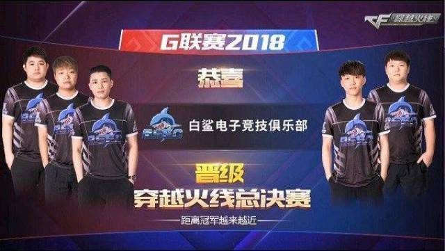 新了记忆 新了记忆